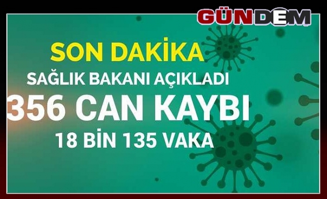 Türkiye'de 356 can aldı, vaka sayısı 18 bini aştı