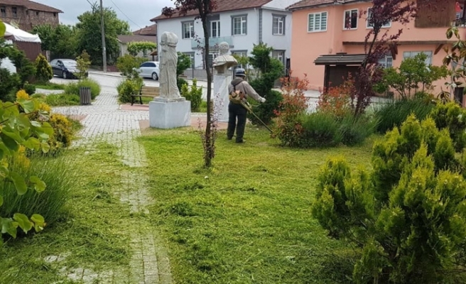 Düzce Belediyesi yabani ot temizliğine başladı