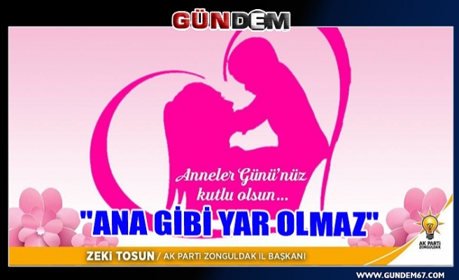 TOSUN, "Ana gibi yar olmaz"