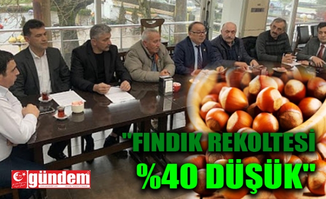 "FINDIK REKOLTESİ %40 DÜŞÜK"