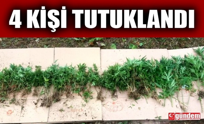 BARTIN MERKEZLİ UYUŞTURUCU OPERASYONU: 4 TUTUKLAMA