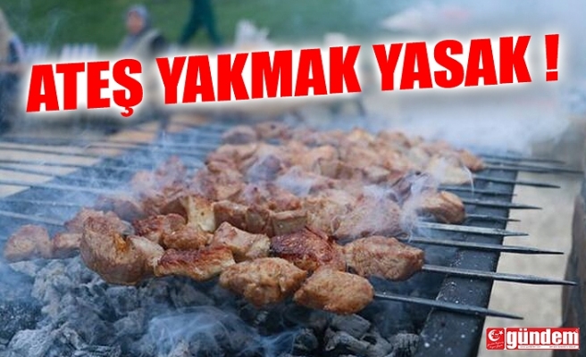 PİKNİKLERDE ATEŞ YAKILMASI YASAKLANDI