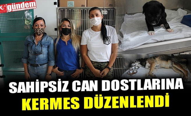 SAHİPSİZ CAN DOSTLARINA  KERMES DÜZENLENDİ