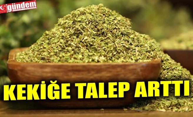 KEKİĞE TALEP ARTTI