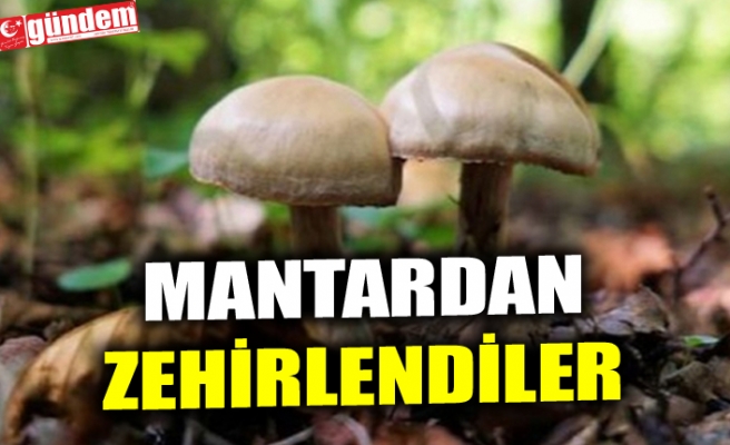 MANTARDAN ZEHİRLENDİLER