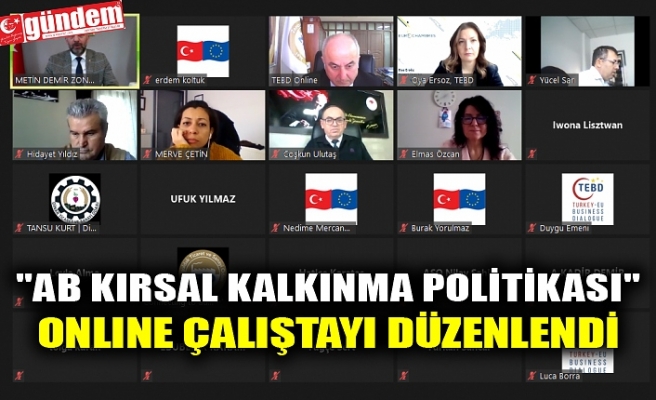 "AB KIRSAL KALKINMA POLİTİKASI" ONLINE ÇALIŞTAYI DÜZENLENDİ