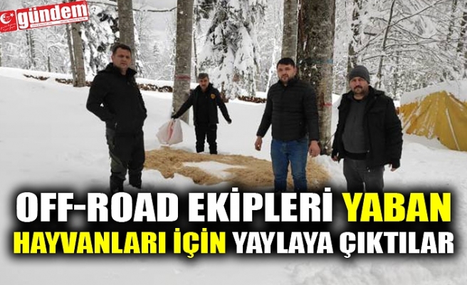 OFF-ROAD EKİPLERİ YABAN HAYVANLARI İÇİN YAYLAYA ÇIKTILAR