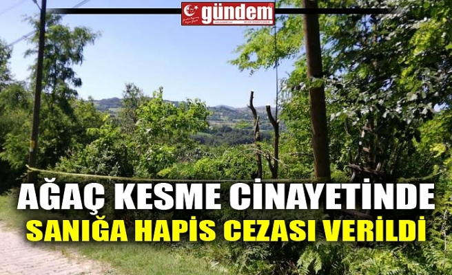 AĞAÇ KESME CİNAYETİNDE SANIĞA HAPİS CEZASI VERİLDİ