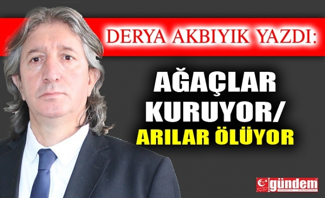 AĞAÇLAR KURUYOR/ ARILAR ÖLÜYOR