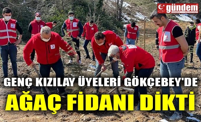 GENÇ KIZILAY ÜYELERİ GÖKÇEBEY'DE AĞAÇ FİDANI DİKTİ