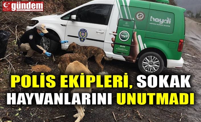 POLİS EKİPLERİ, SOKAK HAYVANLARINI UNUTMADI