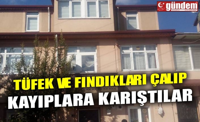 TÜFEK VE FINDIKLARI ÇALIP KAYIPLARA KARIŞTILAR