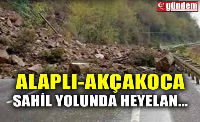 ALAPLI-AKÇAKOCA SAHİL YOLUNDA HEYELAN...