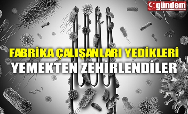 FABRİKA ÇALIŞANLARI YEDİKLERİ YEMEKTEN ZEHİRLENDİLER