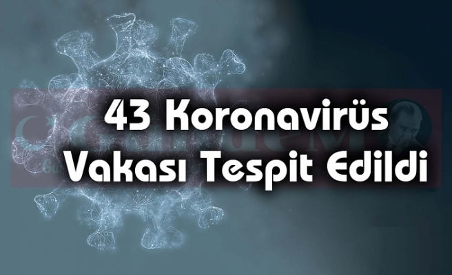 43 Koronavirüs Vakası Tespit Edildi
