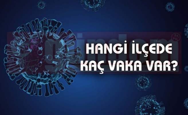 Zonguldak İl Genelinde Tespit Edilen Toplam Vaka  Sayısı 20 Olarak Gerçekleşti.