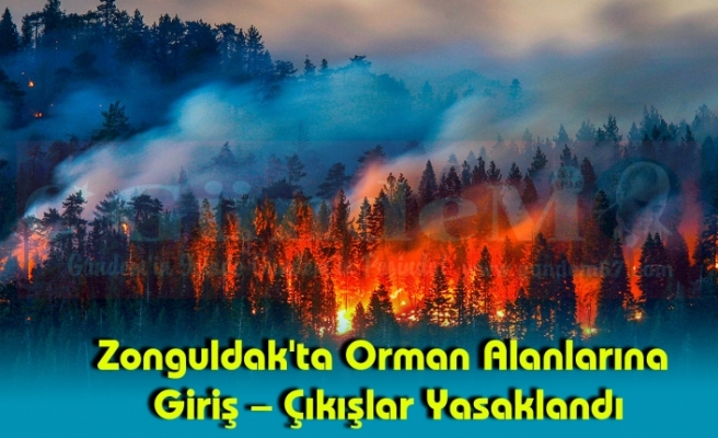 Zonguldak'ta Orman Alanlarına Giriş – Çıkışlar Yasaklandı
