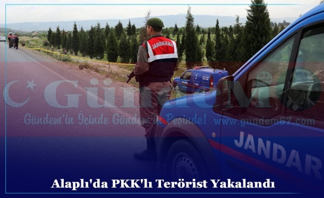 Alaplı'da PKK'lı Terörist Yakalandı