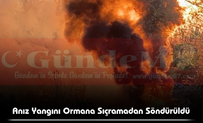 Anız Yangını Ormana Sıçramadan Söndürüldü