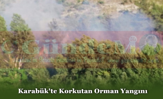 Karabük'te Korkutan Orman Yangını