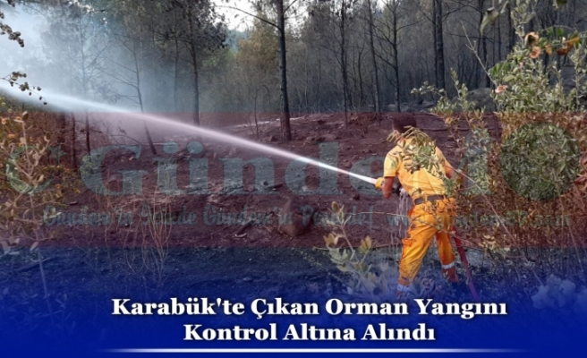 Karabük'te Çıkan Orman Yangını  Kontrol Altına Alındı