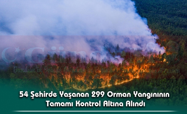 Orman Genel Müdürü Karacabey'den, Orman Yangınlarına İlişkin Açıklama
