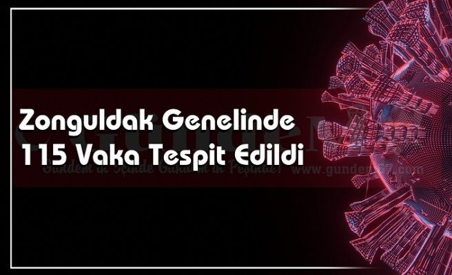 Zonguldak Genelinde 115 Vaka Tespit Edildi.