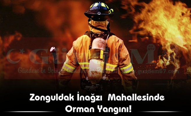 Zonguldak İnağzı Mahallesinde  Orman Yangını!