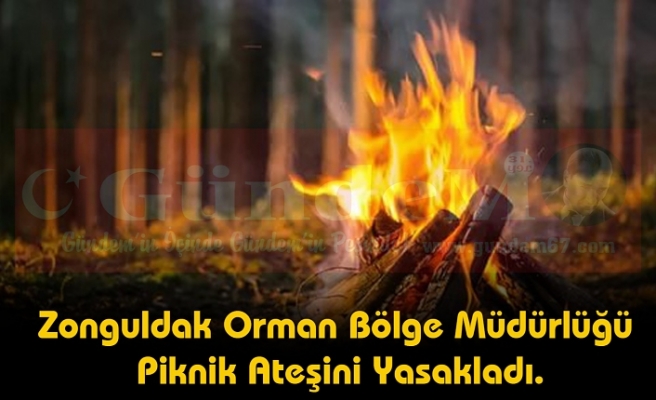Zonguldak Orman Bölge Müdürlüğü Piknik Ateşini Yasakladı.