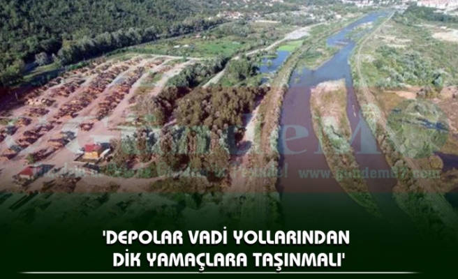 Zonguldak'ta Dere Kenarlarındaki Orman Depoları Endişe Yaratıyor