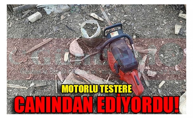 MOTORLU TESTERE CANINDAN EDİYORDU!