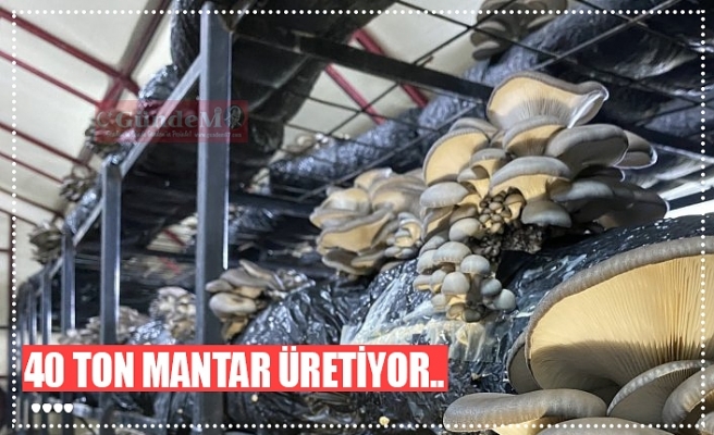 40 TON MANTAR ÜRETİYOR..