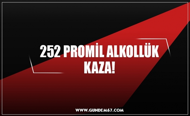 252 PROMİL ALKOLLÜK KAZA!
