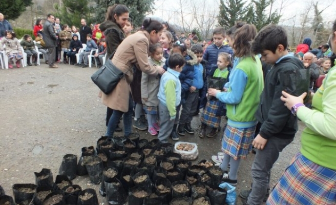 Öğrenciler ceviz tohumlarını toprakla buluşturdu