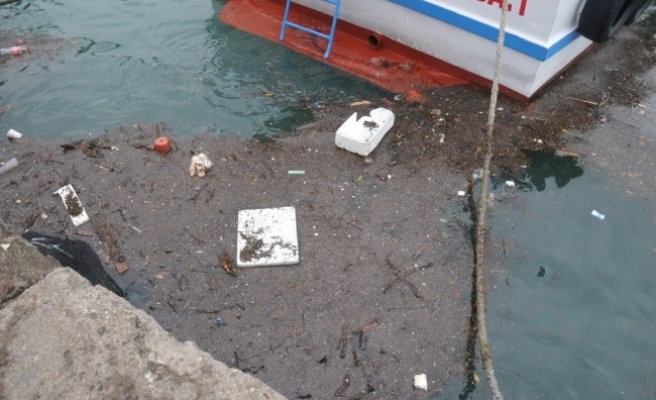 Karadeniz çöpleri limana taşıdı