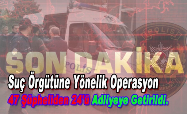 Zonguldak'taki suç örgütüne yönelik operasyon