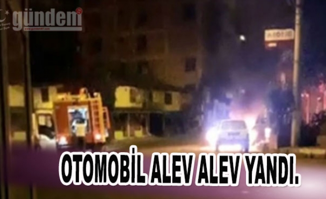 Zonguldak'ta Otomobil alev alev yandı.