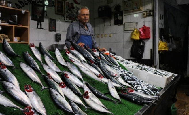 Balığın Az Olması Fiyatlara Yansıdı
