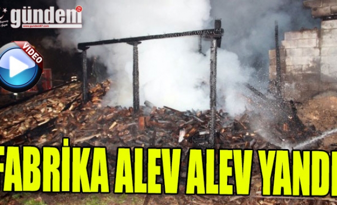 Ormanlı'da Kereste fabrikası alev alev yandı