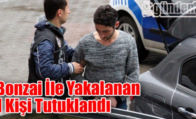 Zonguldak'ta Bonzai İle Yakalanan 1 Kişi Tutuklandı