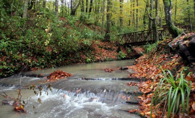 Zonguldak Kent Ormanı'nda sonbahar güzelliği