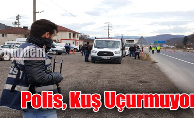 Polis, Kuş Uçurmuyor!