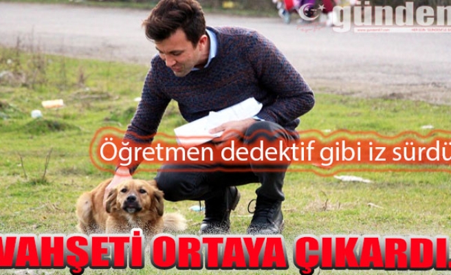 Öğretmen dedektif gibi iz sürdü, vahşeti ortaya çıkardı...