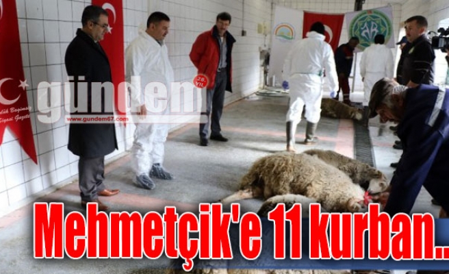 Mehmetçik'e 11 kurban...