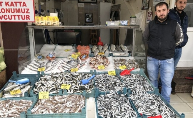 Batı Karadenizde balık fiyatları düştü