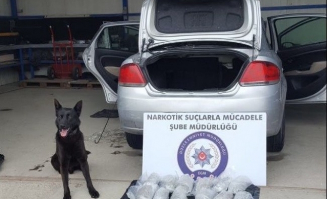 Otomobile zulalanmış uyuşturucuyu narkotik köpeği buldu