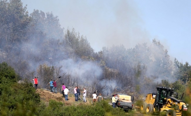 Yığılca ilçesinde 1 hektarlık alanda orman yangını