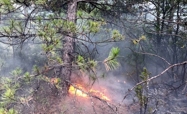 10 ayrı noktada çıkan orman yangını söndürüldü