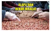 ALAPLI’DAN REKOR İHRACAT