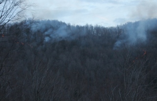 Orman yangınına güçlükle müdahale edildi